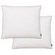 Coussins vidaxl 2 st 70x60 cm vers le bas en blanc