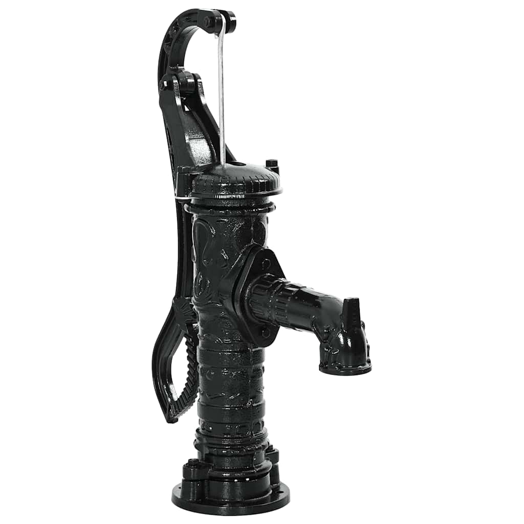 VIDAXL Pompe à eau à main en fonte