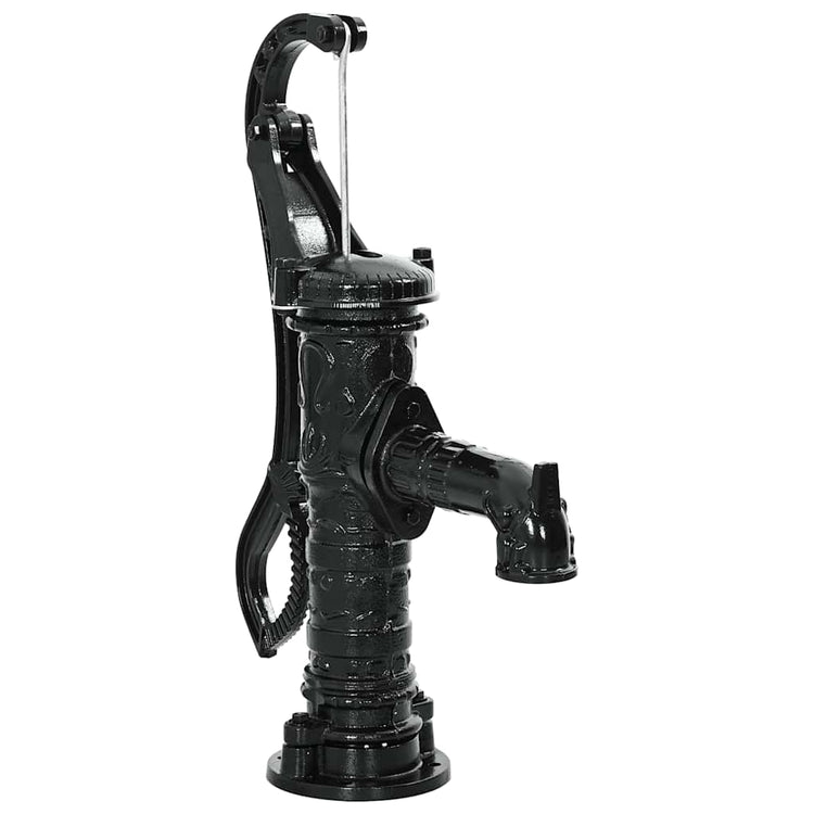 VIDAXL Pompe à eau à main en fonte