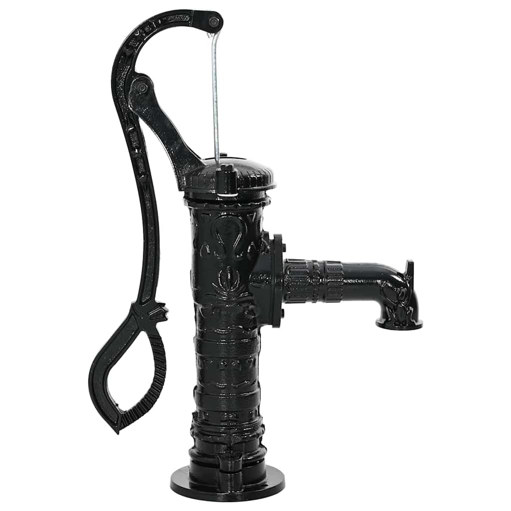 VIDAXL Pompe à eau à main en fonte