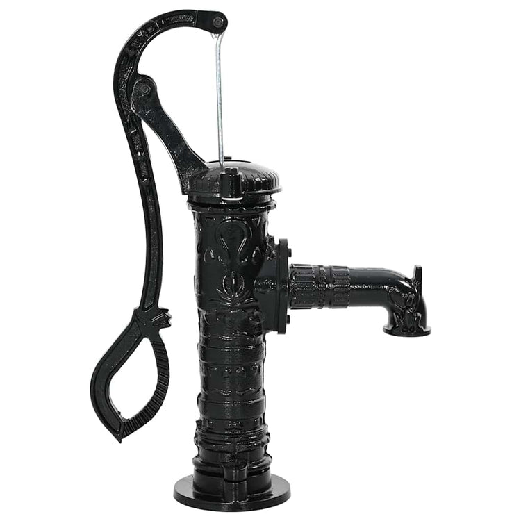 VIDAXL Pompe à eau à main en fonte