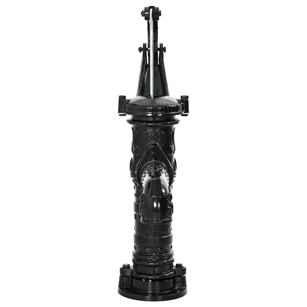 VIDAXL Pompe à eau à main en fonte