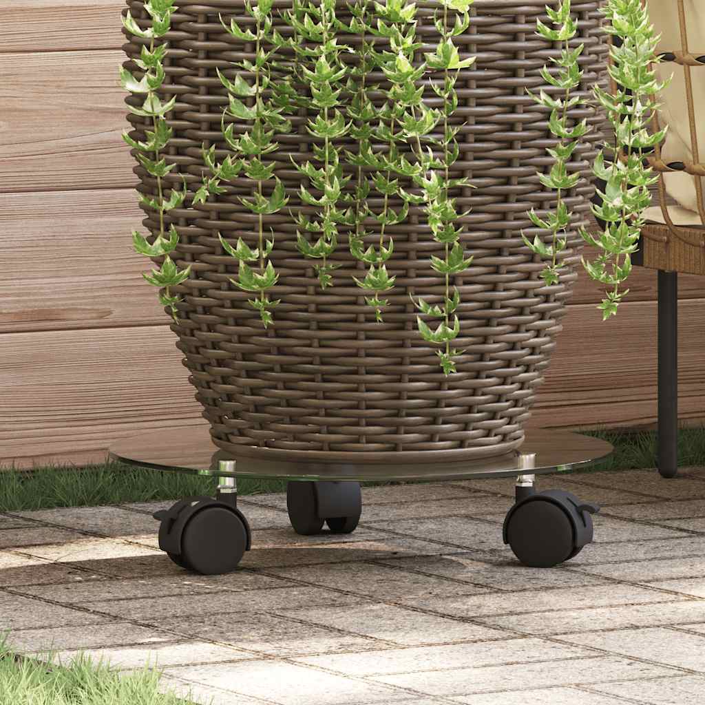 Vidaxl Plant Rouleaux autour de 28 cm Verre durci 2 STS