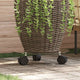 Vidaxl Plant Rouleaux autour de 28 cm Verre durci 2 STS