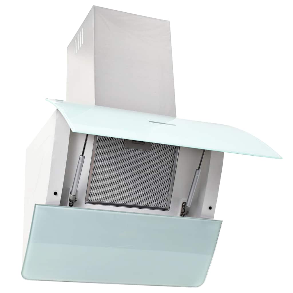 Vidaxx hotte aspirante murale 756 m³ h 60 cm acier inoxydable blanc