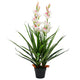 Vidaxl plante artificielle avec des cymbidiums en pot à 100 cm verts