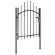 Port vidaxl 1x1,5 m en acier noir
