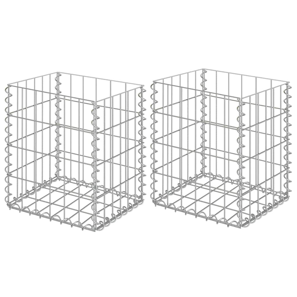 Gabions Vidaxx 2 pcs 30x30x40 cm acier galvanisé