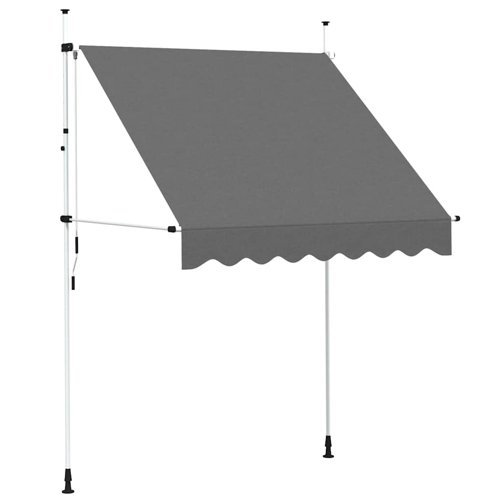 Vidaxl Luifel retire manuellement 200 cm anthracite
