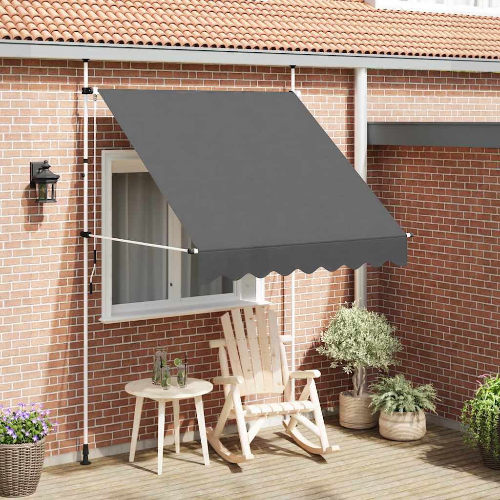Vidaxl Luifel retire manuellement 200 cm anthracite