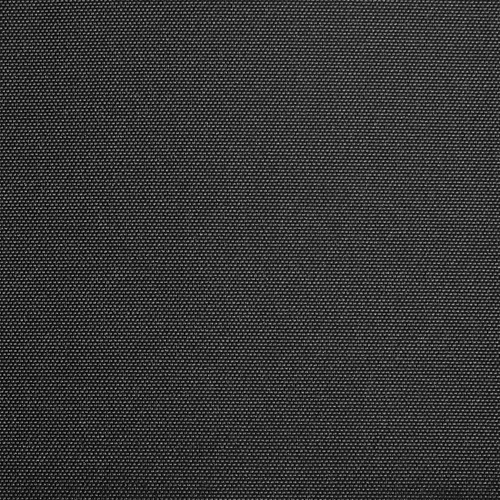 Vidaxl Laifeldoek 300x250 cm toile anthracite
