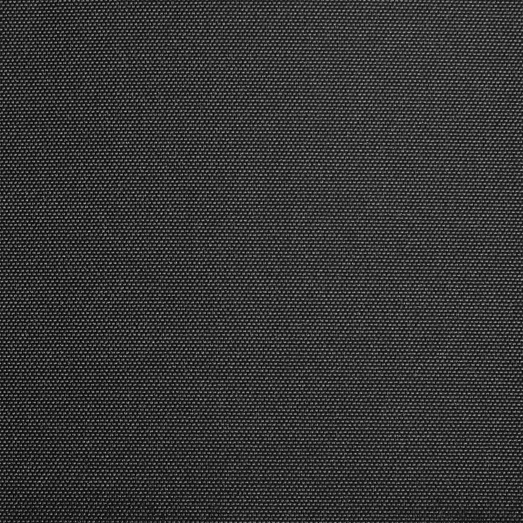 Vidaxl Laifeldoek 450x300 cm anthracite