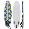 Feuille de surf de Vidaxl 170 cm