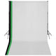 Ensemble de studio photo Vidaxl avec 3 arrière-plans de coton et cadre 3x5 m