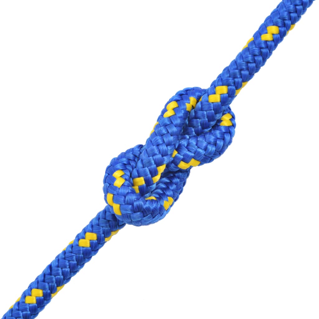 Corde à démarrage Vidaxl 14 mm 250 m en bleu de polypropylène