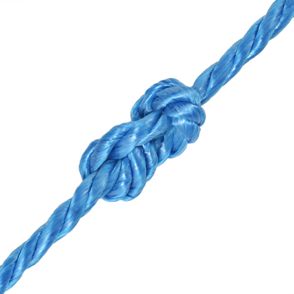 Corde vidaxl torsadé 10 mm 250 m de bleu de polypropylène