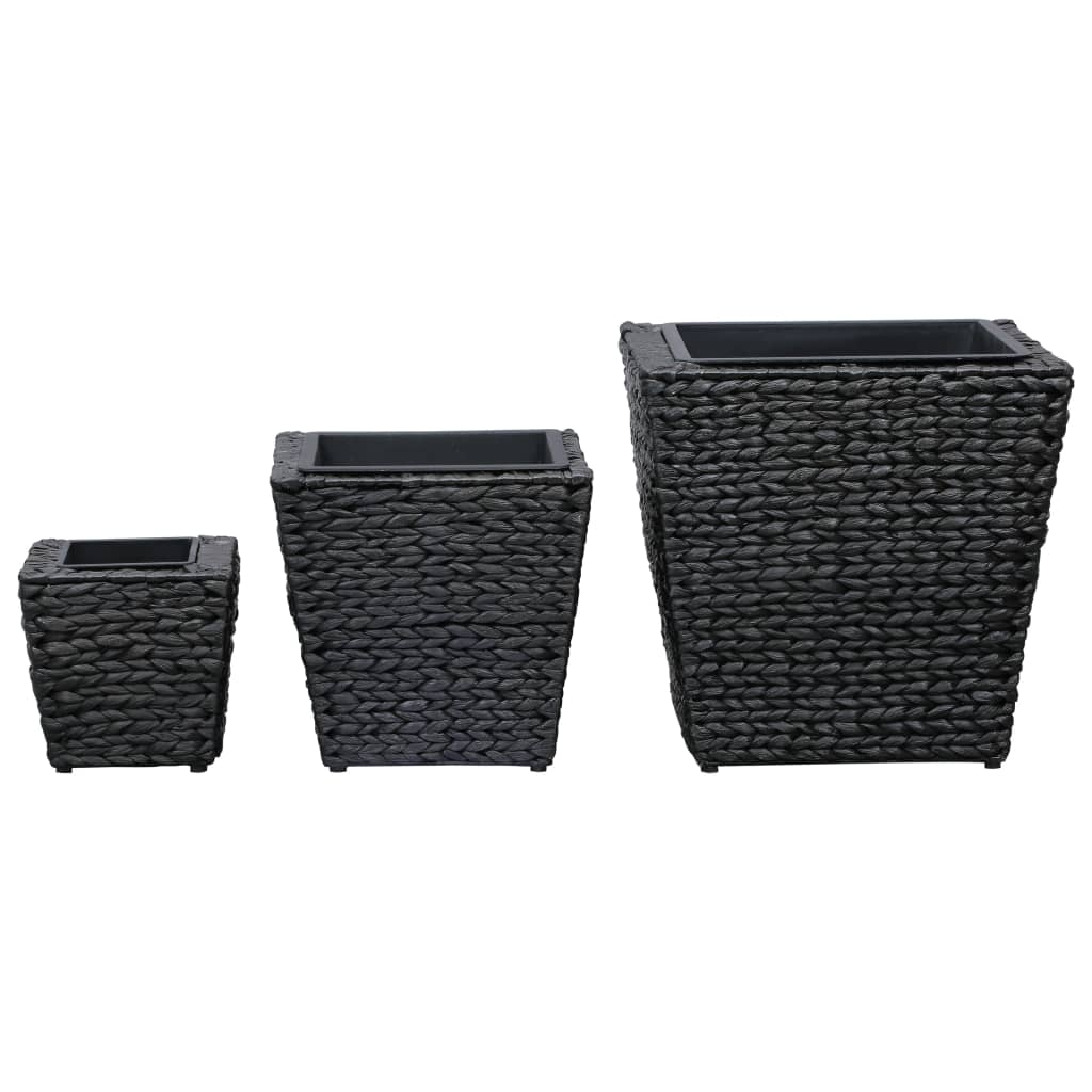 Les jardinières vidaxl ont soulevé 3 staterhyacint noir