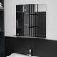 Miroir mural Vidaxl avec étagère 50x50 cm Verre durcie