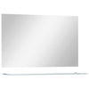 Miroir mural vidaxl avec étagère de 100 x 60 cm de verre durci