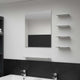 Miroir mural vidaxl avec 5 étagères 50x60 cm de couleur argentée
