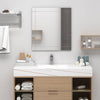 Miroir mural Vidaxl 100x60 cm