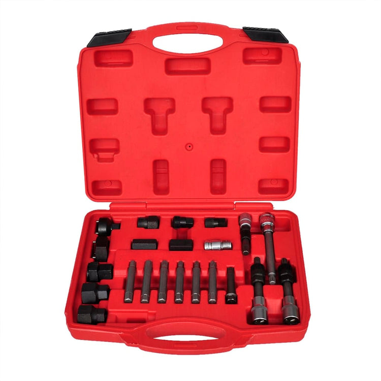 Outils de voiture alternative vidaxl ensemble 22 ST