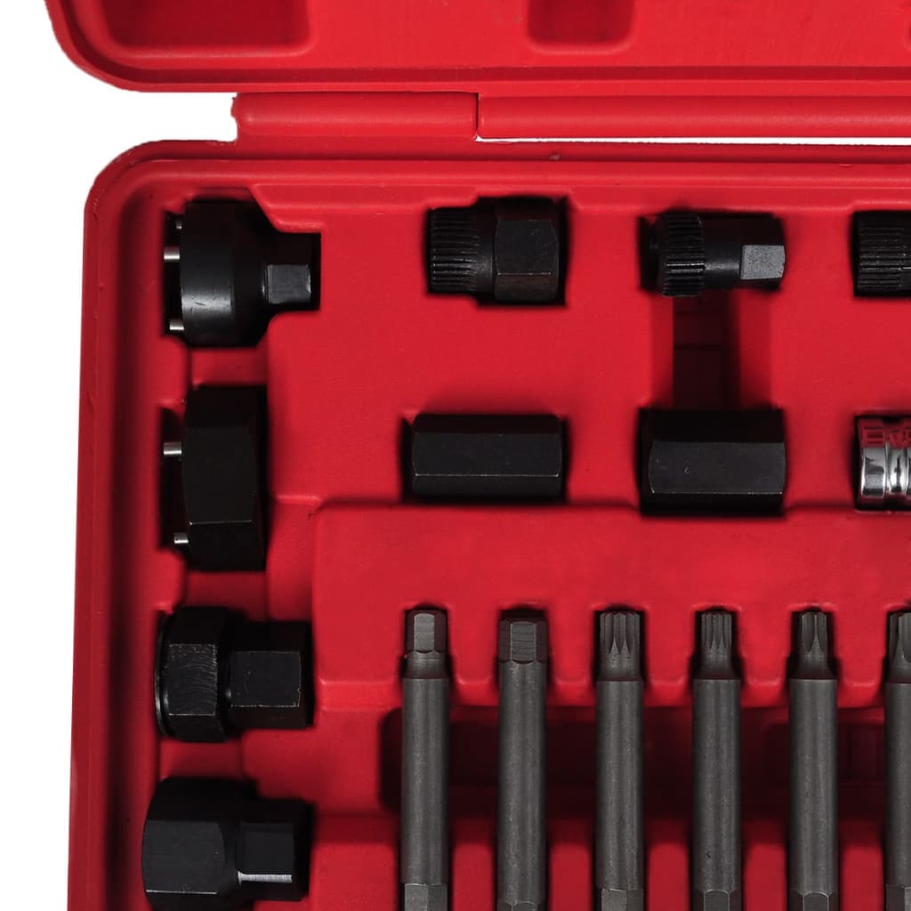 Outils de voiture alternative vidaxl ensemble 22 ST