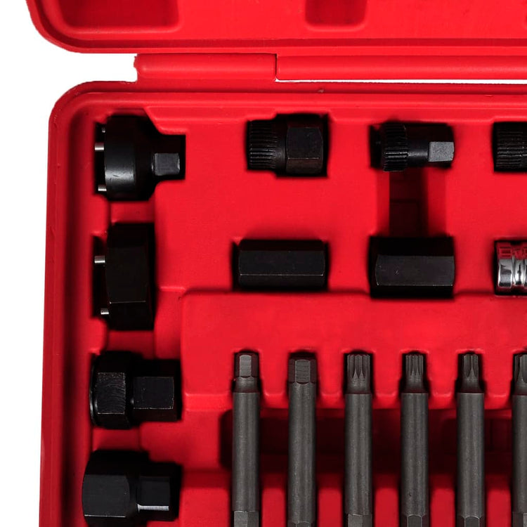 Outils de voiture alternative vidaxl ensemble 22 ST