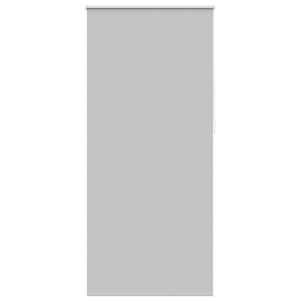 Vidaxl Roller aveugle accablant 80 x 230 cm gris