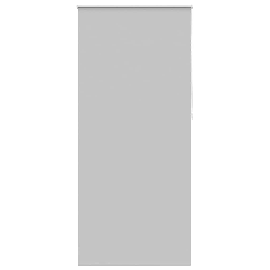 Vidaxl rouleau aveugle occlusion 100 x 230 cm gris