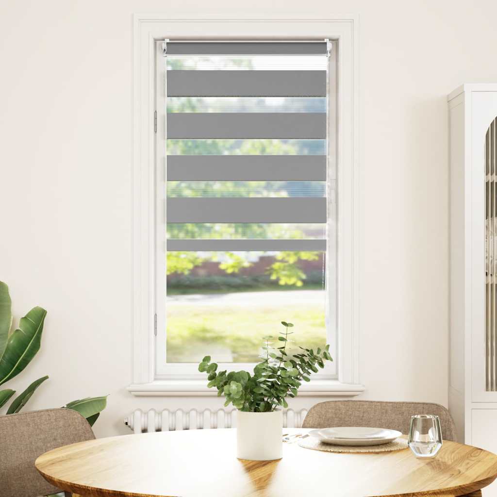 Vidaxl duo rouleau aveugle 40x100cm gris