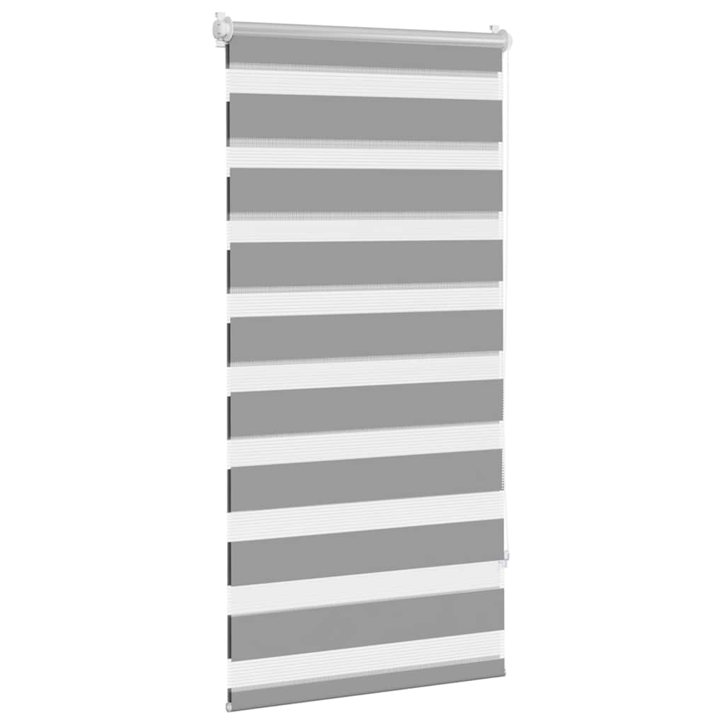 Vidaxl duo rouleau aveugle 60x120 cm gris