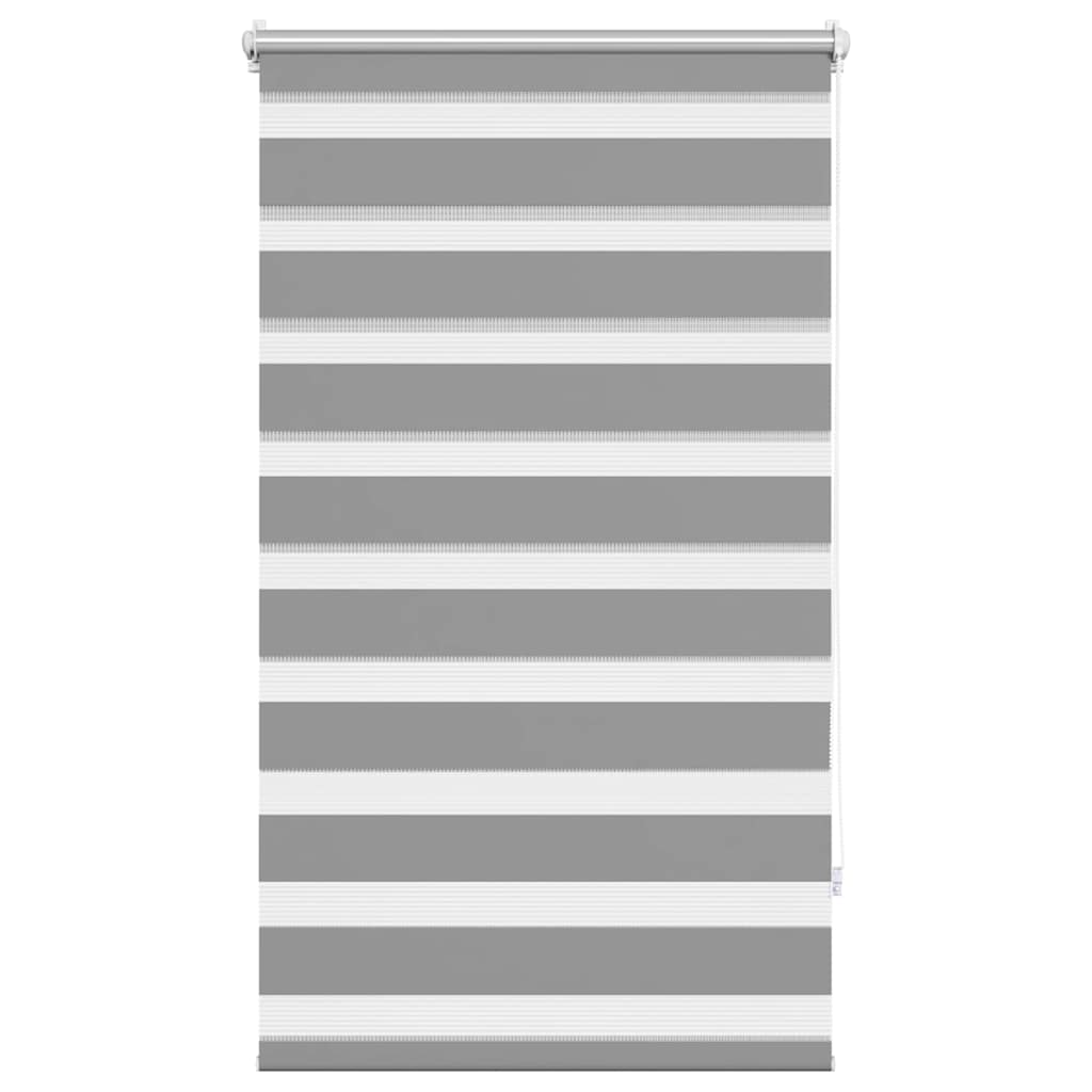 Vidaxl duo rouleau aveugle 70x120cm gris
