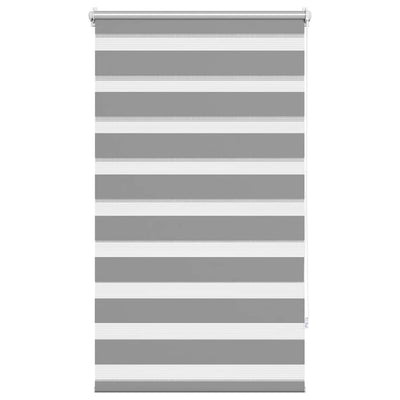 Vidaxl duo rouleau aveugle 70x120cm gris