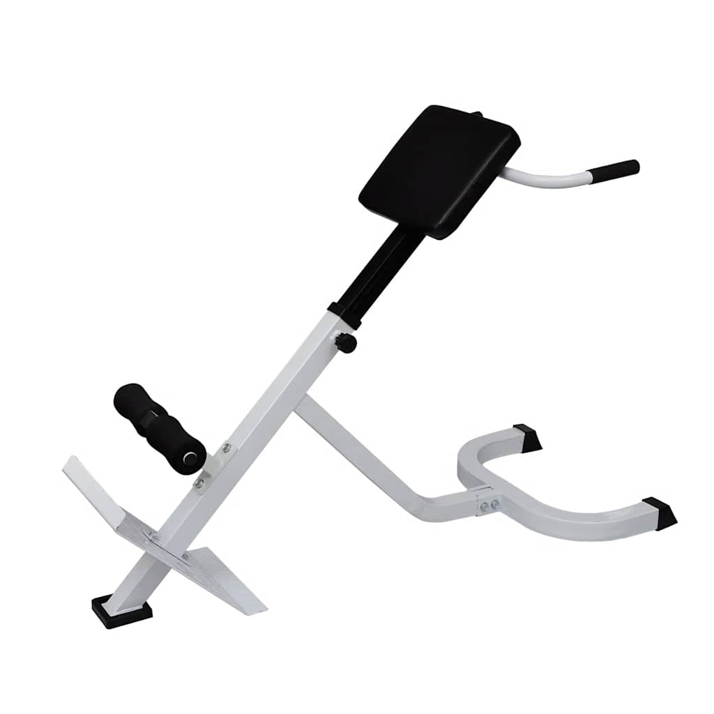 Canapé d'entraînement musculaire du dos vidaxl