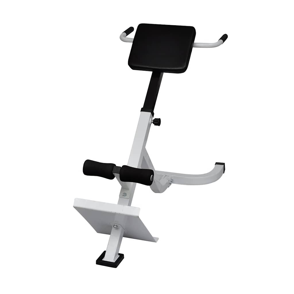 Canapé d'entraînement musculaire du dos vidaxl