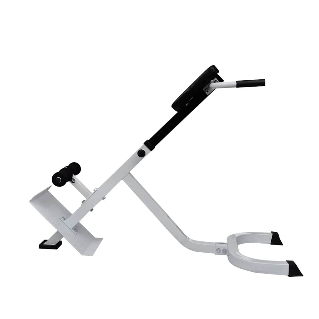 Canapé d'entraînement musculaire du dos vidaxl