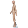 Vidaxl estalage Doll Man a