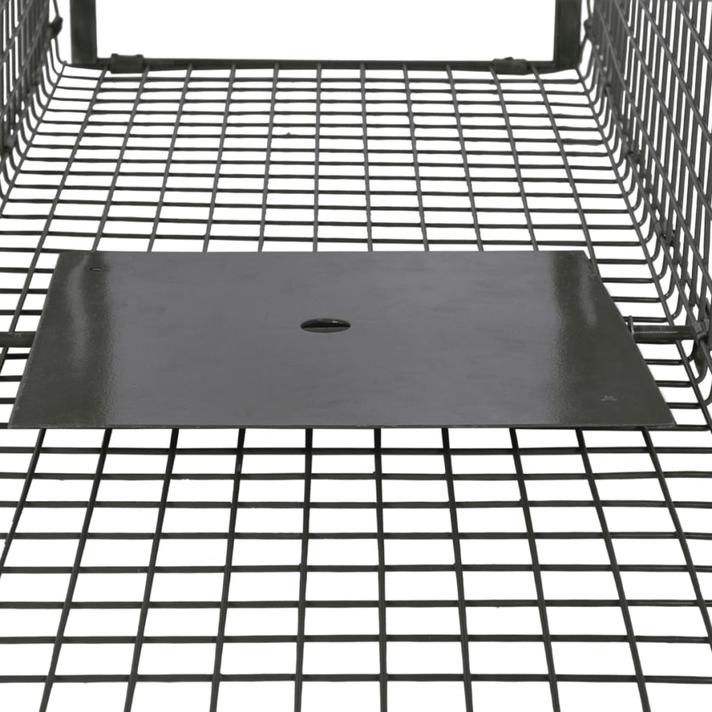 Vidaxl Animal Trap avec 2 portes