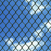 Clôture en maille vidaxl avec poteaux de 1x15 m en acier vert