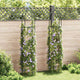 Vidaxl Garden Arch Towers 2 PCS