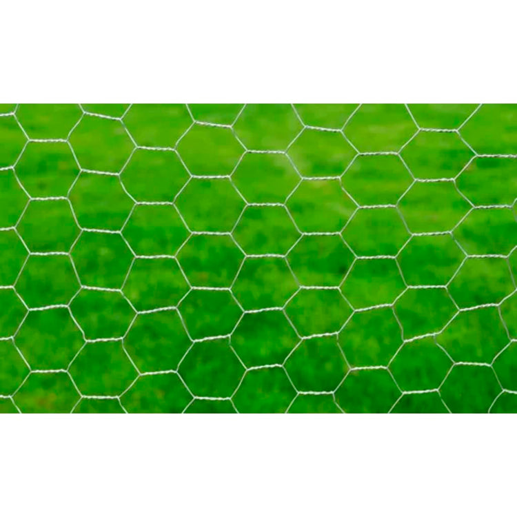 Vidaxl Poulet Fil 25x0,5 m Galvanisé en acier argent coloré
