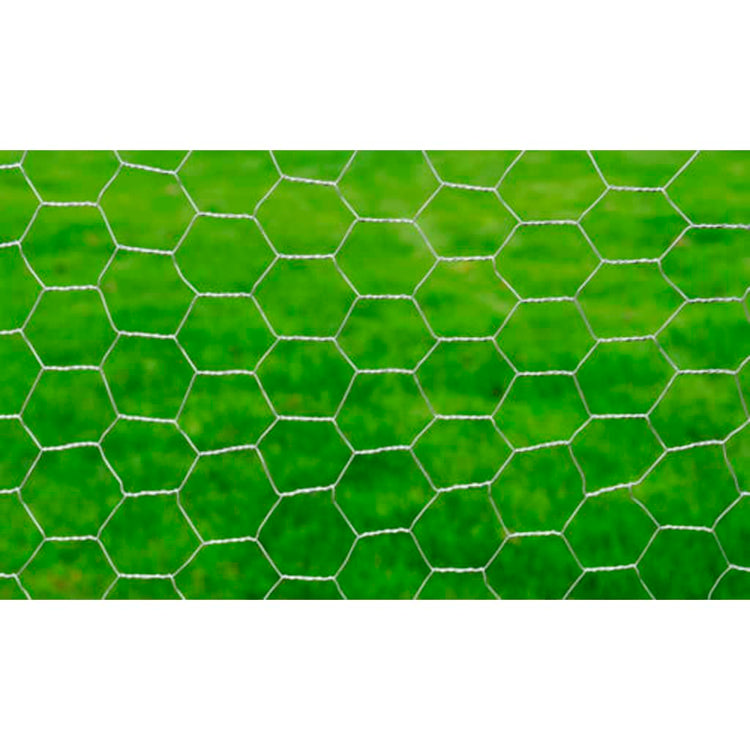 Vidaxl Poulet Fil 25x1 m Galvanisé en acier argenté coloré