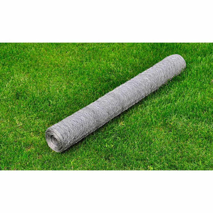Vidaxl Poulet Fil 25x1 m Galvanisé en acier argenté coloré
