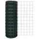 Vidaxl Hek 10x1,0 m en acier vert