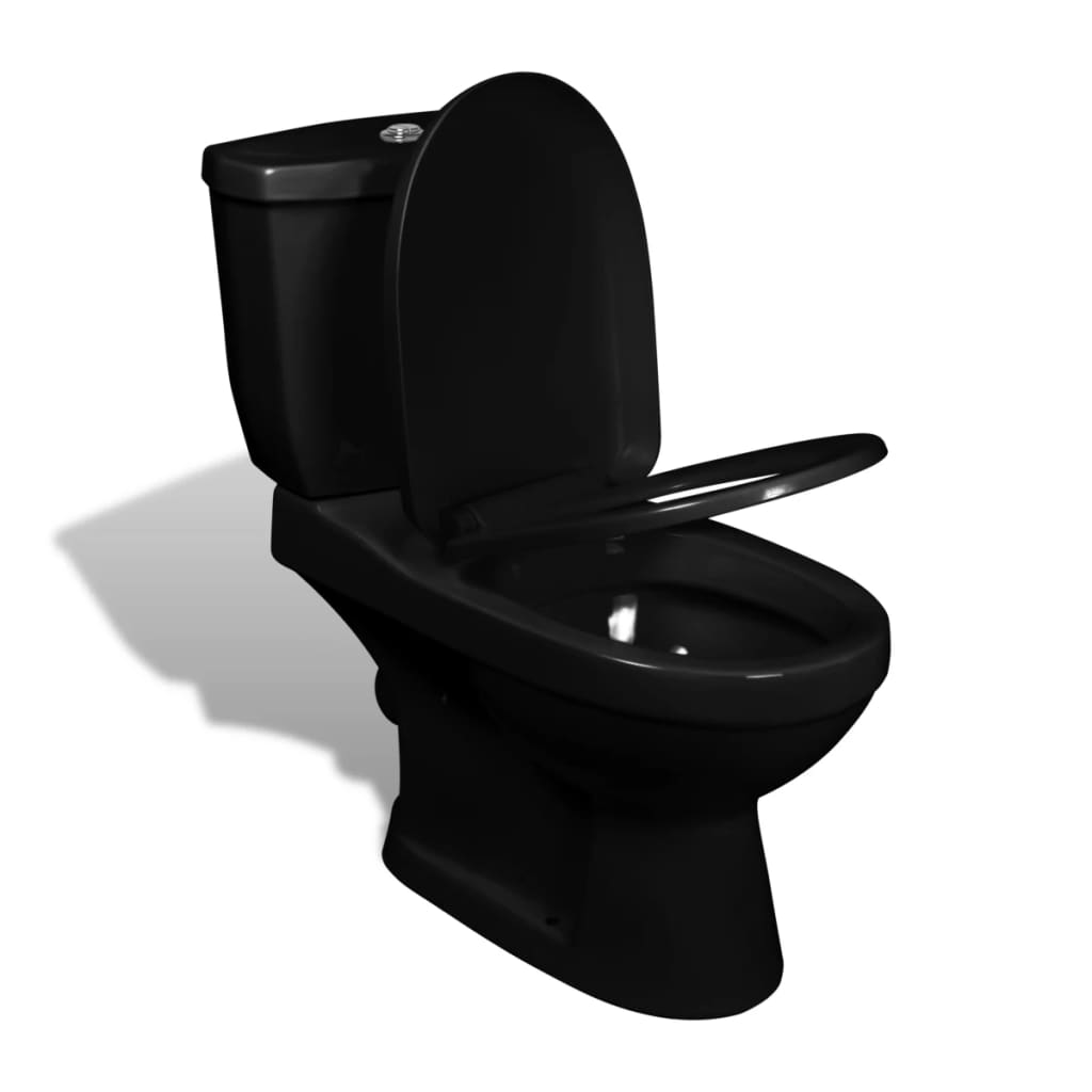 Toilettes vidaxl avec citerne noir