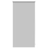 Vidaxl Roller aveugle accablant 40x100 cm gris