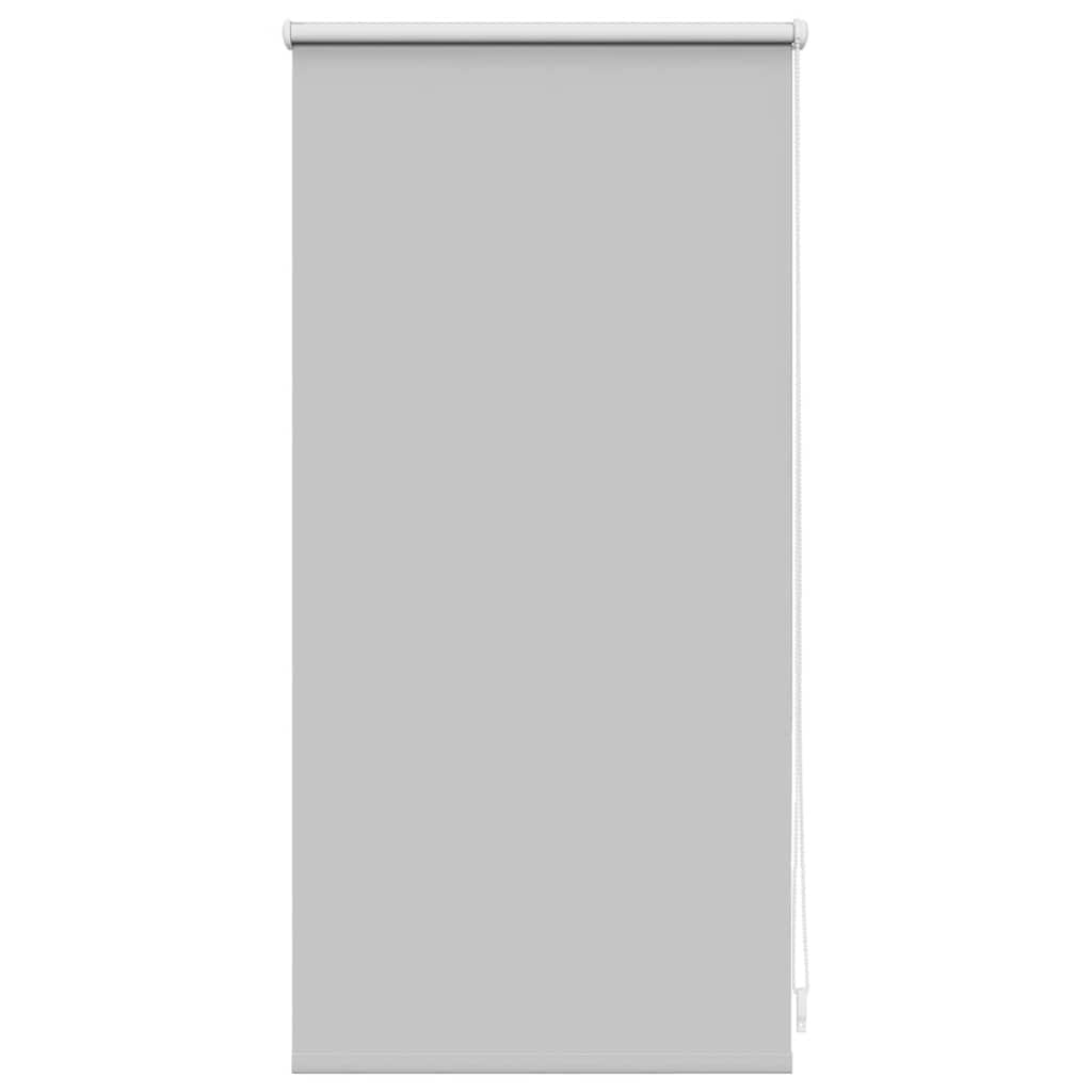 Vidaxl Roller aveugle accablant 40x100 cm gris