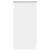 Vidaxl Rouleau aveugle accablant 60 x 120 cm blanc