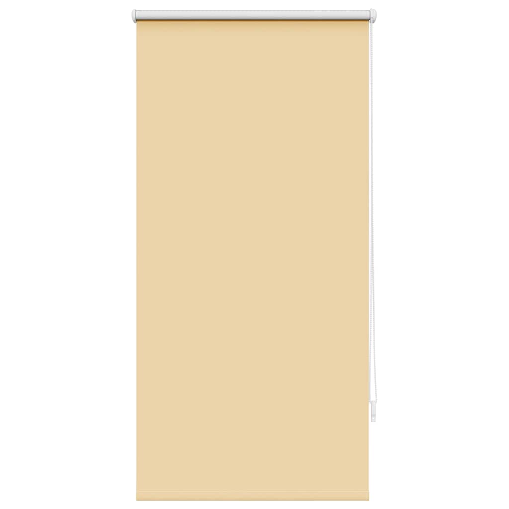 Vidaxl Roller aveugle accablant 60 x 120 cm beige